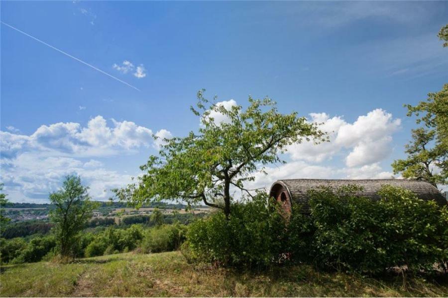 Le Chalet Du Chemin Et Sa Roulotte Berviller-en-Moselle Exterior foto
