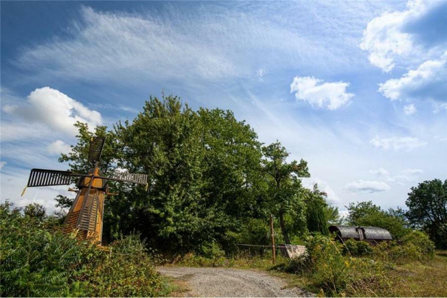 Le Chalet Du Chemin Et Sa Roulotte Berviller-en-Moselle Exterior foto